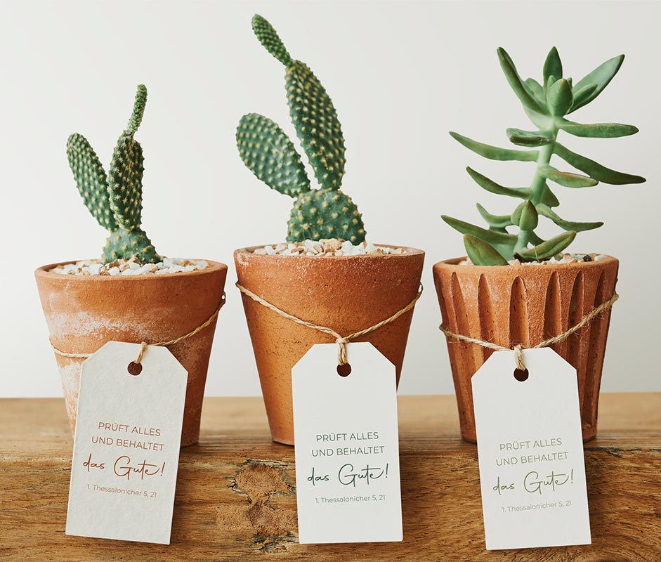 Jahreslosung 2025 STEMPEL "Prüft alles, das Gute behaltet"